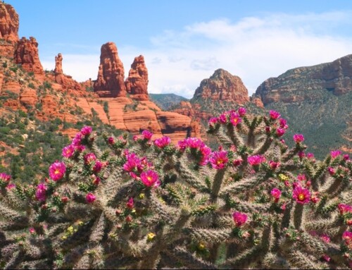 The 10 Best Ways to Soak Up the Tranquil Ambiance of Sedona, Arizona