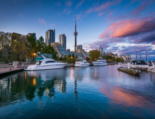 Sample a Diverse Selection of Global Cuisine in Toronto, Canada